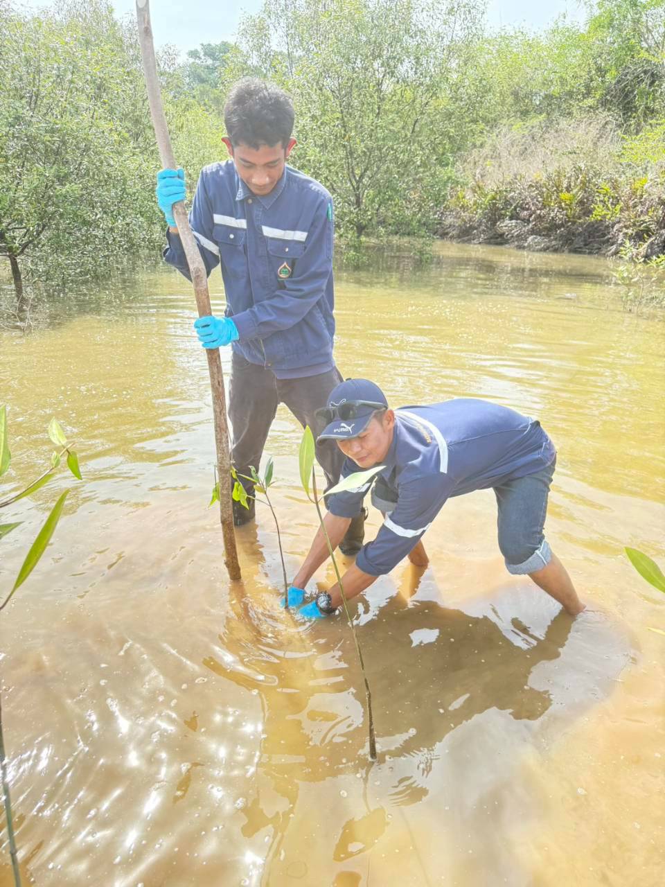 กิจกรรมการมีส่วนร่วมด้านการจัดการสิ่งแวดล้อมและชุมชนอย่างยั่งยืน CSR